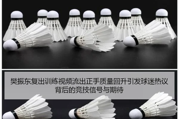 樊振东复出训练视频流出正手质量回升引发球迷热议背后的竞技信号与期待