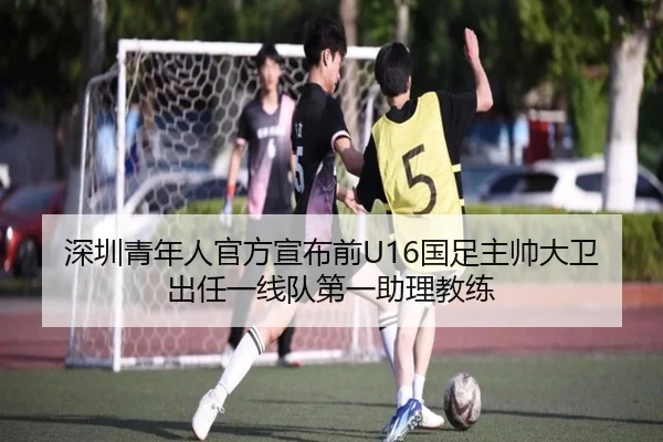 深圳青年人官方宣布前U16国足主帅大卫出任一线队第一助理教练